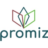 Promiz logo - Similar company to M&A Pulse