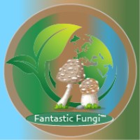 Fantastic Fungi logo - Similar company to Fantastic Fungi