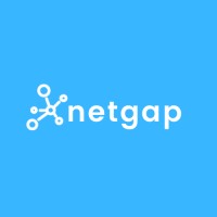 Netgap logo - Similar company to Fluidic