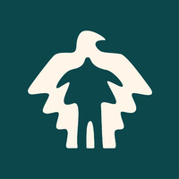 Peregrinus logo - Similar company to F1Rst Uruguay
