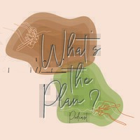 What'S The Plan? Podcast