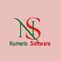 NUMERIC SOFTWARE logo - Similar company to Mcsgear