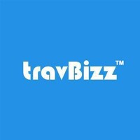 travBizz logo - Similar company to Excel Software Services