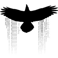 Tech Raven Consulting LLC. logo - Similar company to Conveyuall