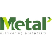 Metal Motors Ltd. logo - Similar company to Illusion