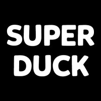 SuperDuck Studio logo - Similar company to Concepft