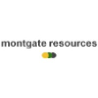 Montgate Resources logo - Similar company to Merem
