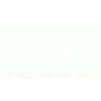 WSNE Consulting logo - Similar company to Wsne Consulting
