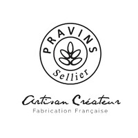 PRAVINS Sellier logo - Similar company to Keyting