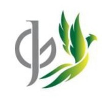 Jet Green logo - Similar company to K2 Airways