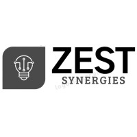 Zest Synergies logo - Similar company to Dataseed Tech Solutions
