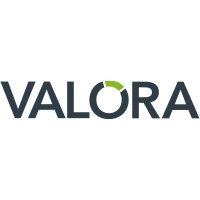VALORA SRL logo - Similar company to Beyond Engineering