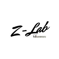 Zgc Global Youth Lab