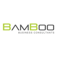 BamBoo Financial Consultants logo - Similar company to Proqesh