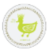 Coin Coin Designs & Co.