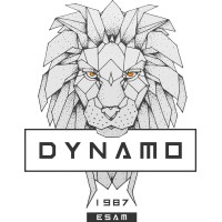 BDE DYNAMO logo - Similar company to Kbtechnology