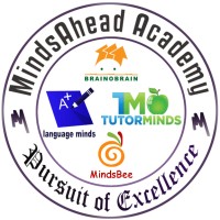 Mindsahead Academy Llc