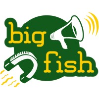 Big Fish - Marketing For Sales