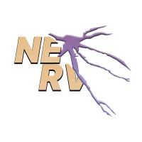 Nerv Analytica