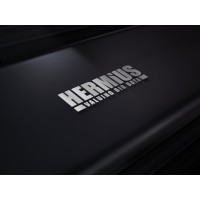 Hermius.com - Data Valuation / Internet of Things Advisory logo - Similar company to Internet Of Things (Iot Connect)