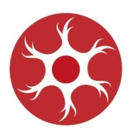 Plexus Support Services logo - Similar company to Gpsurgery.Net