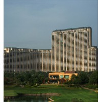 The Camellias logo - Similar company to Transaction Advisory Services