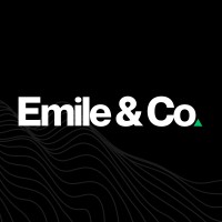 Emile & Company Advisors Ltd. logo - Similar company to Emotive Health Technologies