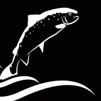 Catch of Norway Seafood logo - Similar company to Nutaaq Seafood Aps