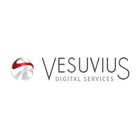 Vesuvius Digital Services logo - Similar company to Vesuvius