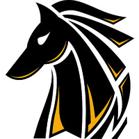 ajedrez blanco y negro logo - Similar company to Peón Negro