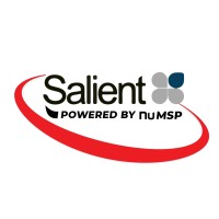 Salient IT logo - Similar company to Entec Systems