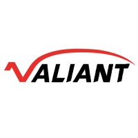 SHANDONG VALIANT PACKAGING CO., LTD. logo - Similar company to Vidriolux