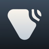 Voicedger logo - Similar company to Outstafford