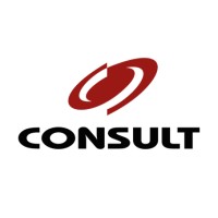 Consult Consultoria Empresarial - Desde 1976 logo - Similar company to Crowe Consult (Brasil)