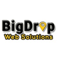 BigDrop Web Solution logo - Similar company to Bigdrop