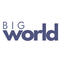 Big World Co logo - Similar company to Packet Pi - Websites & Programming