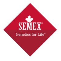 Semex Holland B.V. logo - Similar company to Softstream