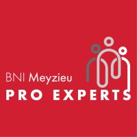 BNI PRO EXPERTS - Meyzieu logo - Similar company to Bni Progreso