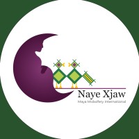 Maya Midwifery International / Naye Xjaw logo - Similar company to Datagenix Solutions