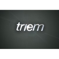 Triem Executive Search