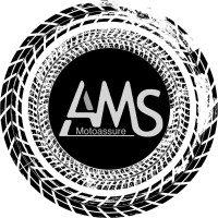 AMS MOTOASSURE logo - Similar company to Feel Goûd