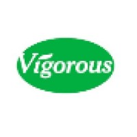 vigorous-tech logo - Similar company to Kotwal Commodity