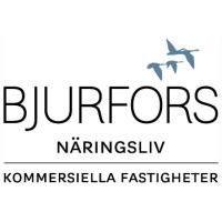 Bjurfors Näringsliv logo - Similar company to Nordisia