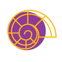 CShell Health logo - Similar company to New Day Interactive