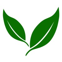 Levelle Consulting logo - Similar company to Ready For Impact