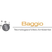 Baggio Tecnologia e Meio Ambiente logo - Similar company to M4 Tecnologia Em Software Ltda