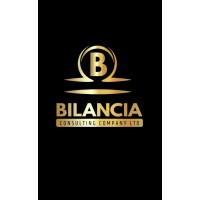 BILANCIA CONSULTANCY COMPANY logo - Similar company to Mwidasy Group