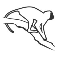 Vervet Monkey Foundation logo - Similar company to Project.Wild