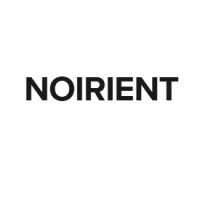 NOIRIENT logo - Similar company to Mafis - Magnetic Field Systems