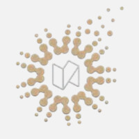 New Community Transformation Fund logo - Similar company to Ai Regent Inc.